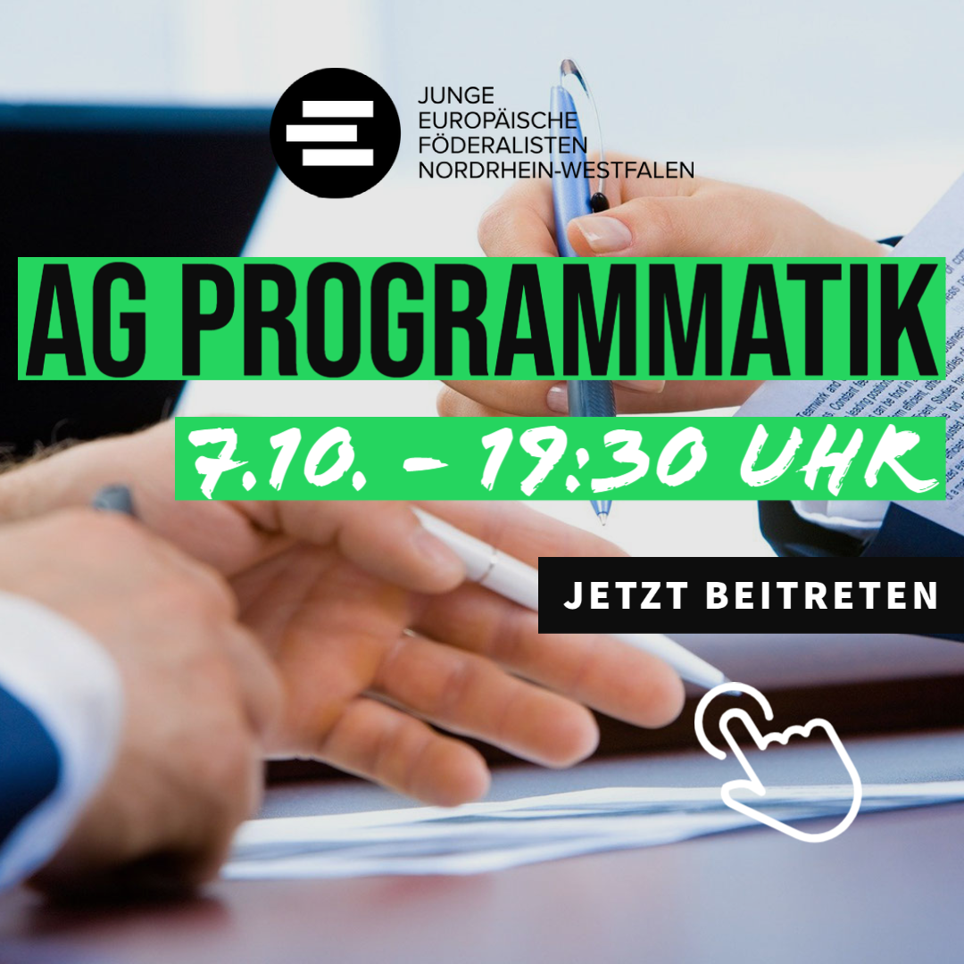 AG Programmatik Treffen